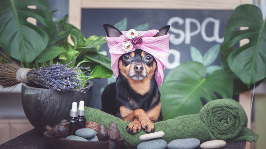 Perfect at-home SPA session exists! Beauty and skin care hacks discovered during 2020